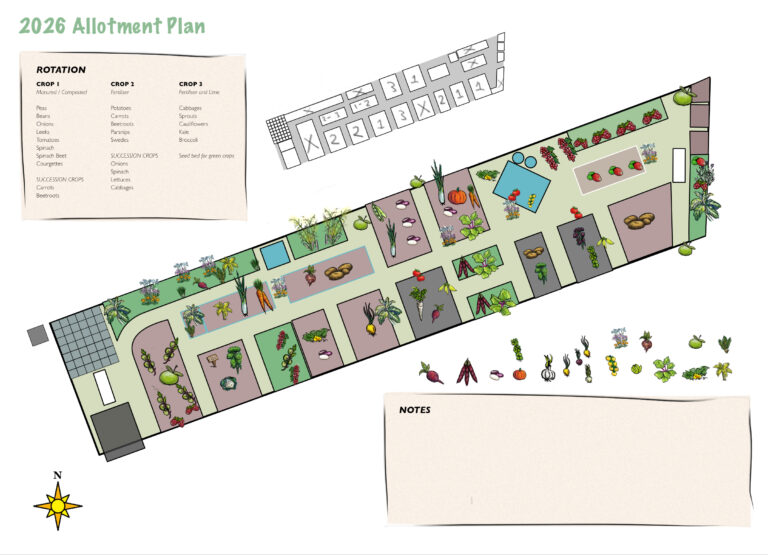 Plot 8